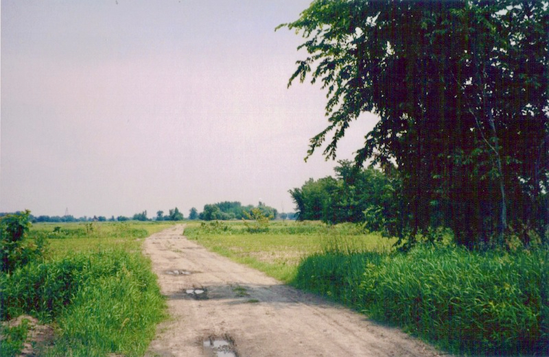 Un chemin digne de ce nom